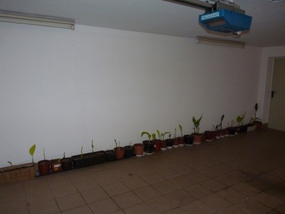 cannas garage.jpg