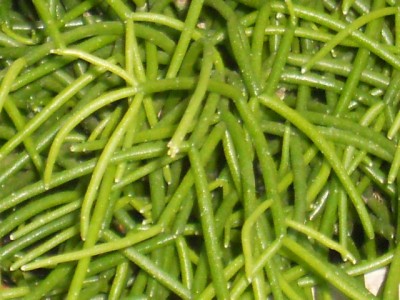 DSCN1023.JPG