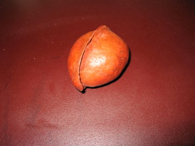 an Vivians dritten Geburtstag 08.08.2007 002.jpg