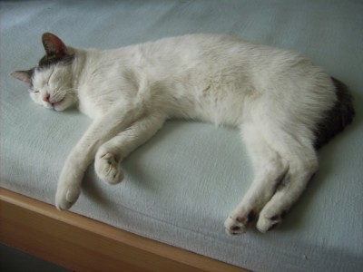 PICT2268 100.JPG