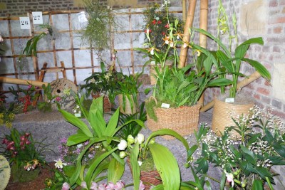 DSCN2794.jpg