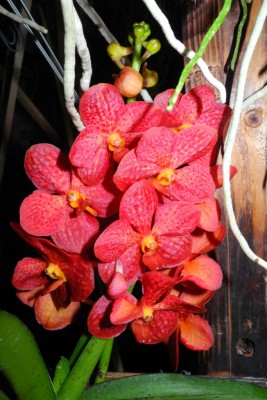 DSCN2829.jpg
