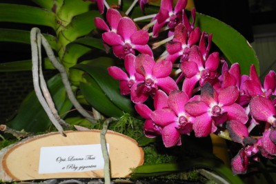 DSCN2827.jpg