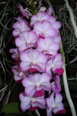 DSCN2851.jpg