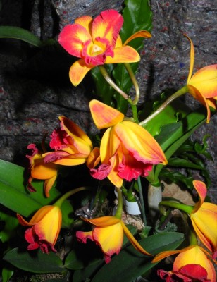 DSCN2848.jpg