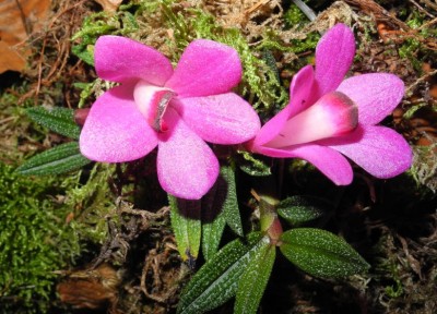 DSCN2788.jpg