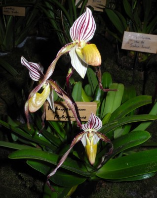 DSCN2877.jpg