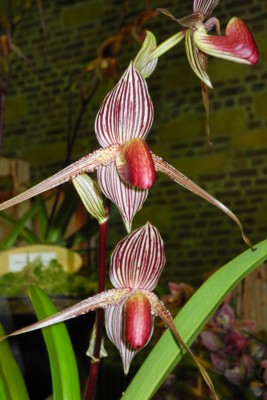 DSCN2822.jpg