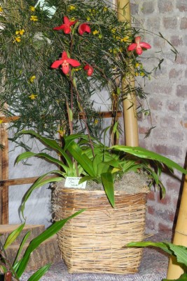 DSCN2796.jpg
