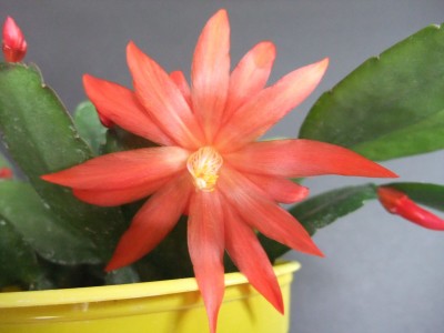 DSCF2256.JPG