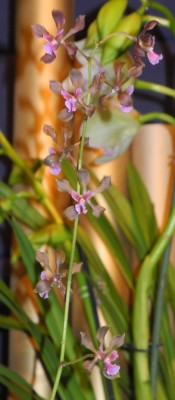 DSCN2879.jpg