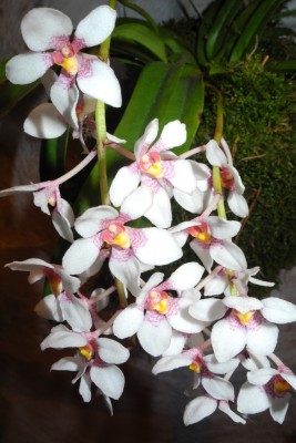 DSCN2908.jpg