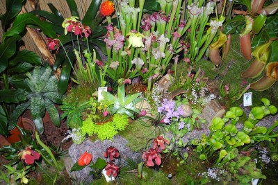 DSCN2817.jpg