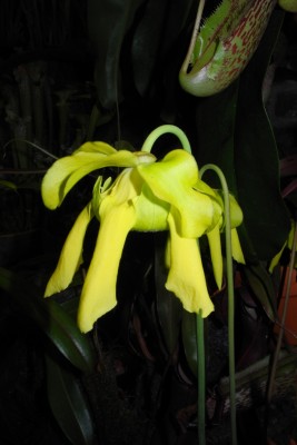 DSCN2811.jpg