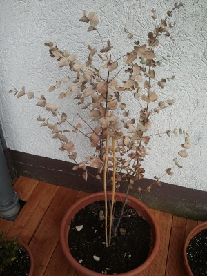 2012-04-18 14.49.45.jpg