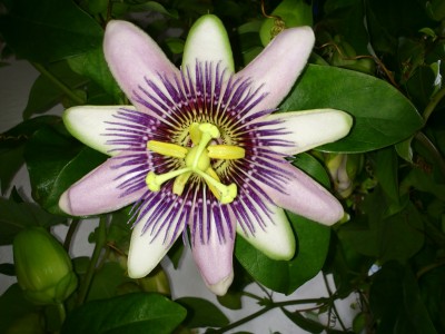 DSC_0047.jpg