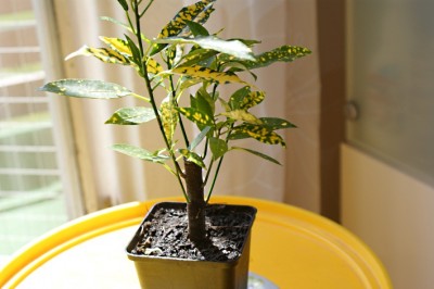 DSC01765.JPG