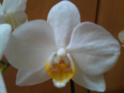 19042012279.JPG