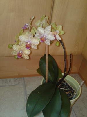 19042012269.JPG
