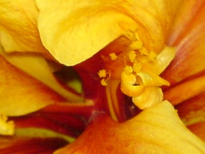26.8. 015.jpg