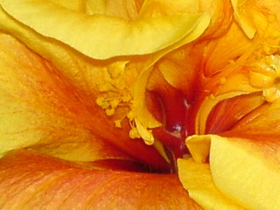 26.8. 008.jpg