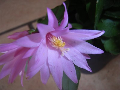 RIMG0656.JPG