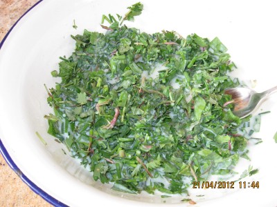 2012_9122.jpg