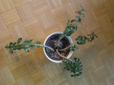 IMAG0348.JPG