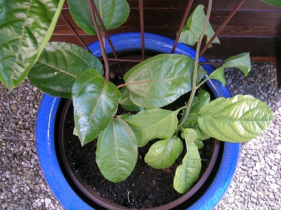 DSCN5451.JPG