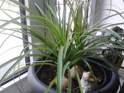 IMG_20120419_164116.jpg
