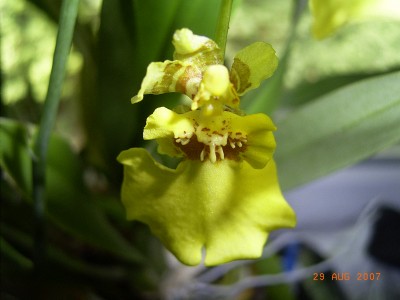 RIMG0067.JPG