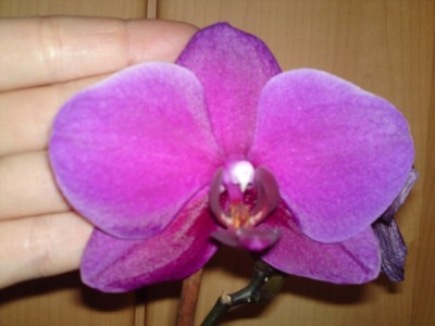 19042012285.JPG