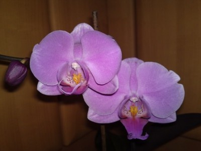 19042012264.JPG