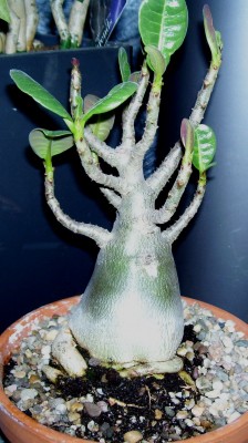 100_8334.JPG