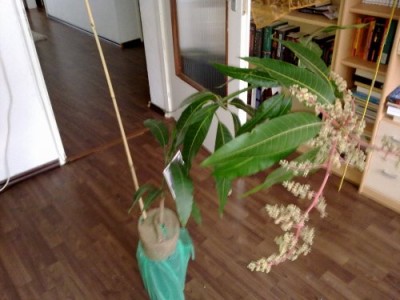 c8c17507.m.jpg