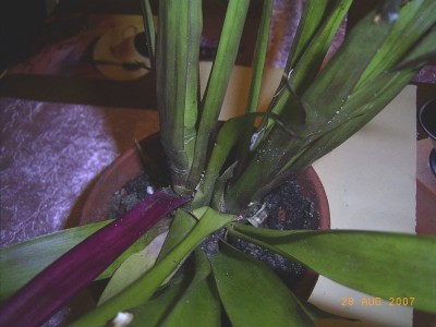 Bild 248.jpg