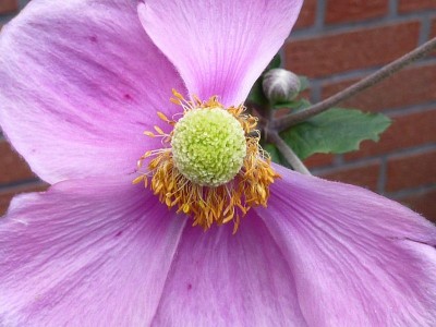 Raetsel 33 (5) - Kopie (800x600).jpg