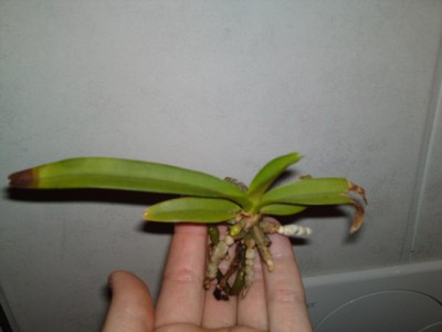 25042012395.JPG
