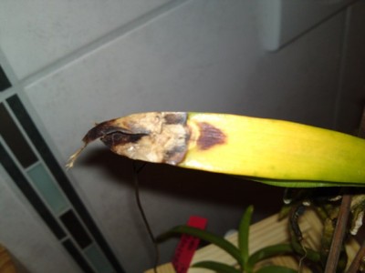 25042012393.JPG