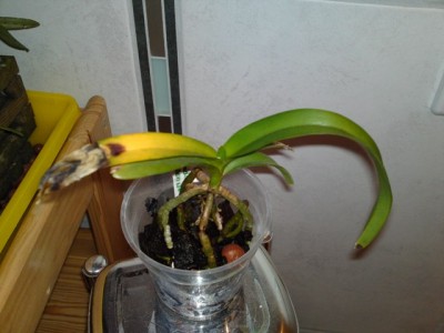 25042012390.JPG