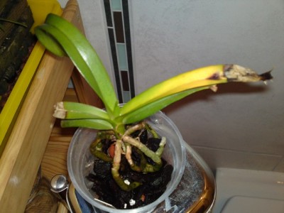 25042012389.JPG