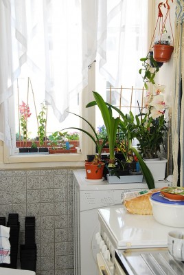 dsc_8794_Kuechenfenster.jpg