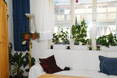 dsc_8055_Wohnzimmer.jpg