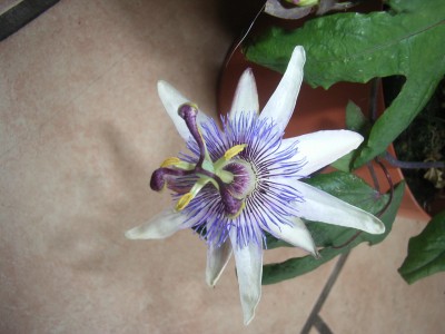 RIMG0691.JPG