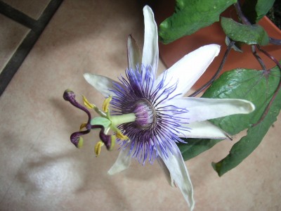 RIMG0690.JPG