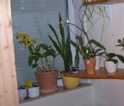 100_6222.jpg
