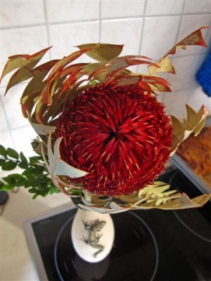 Deko-Pflanze (2).JPG