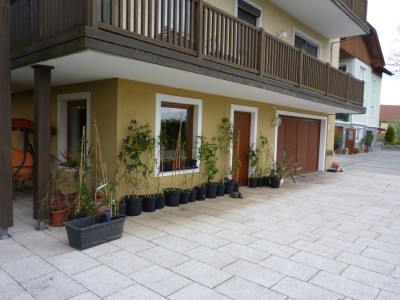 passiwand haus.jpg