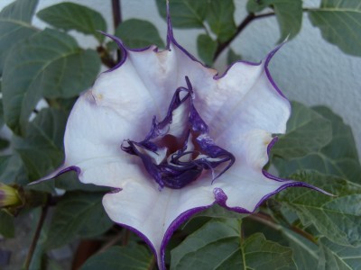 S1030043.JPG