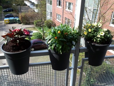 Balkon.jpg